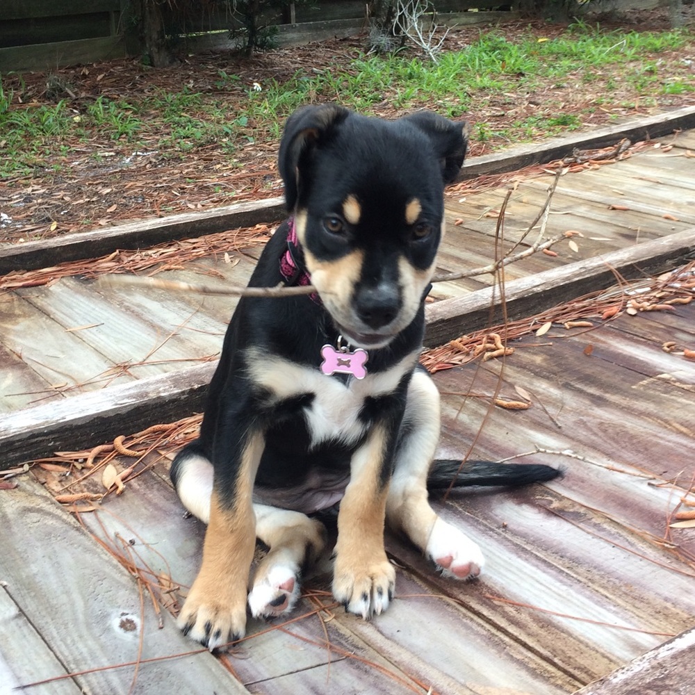 Meet your Posher, Sonya